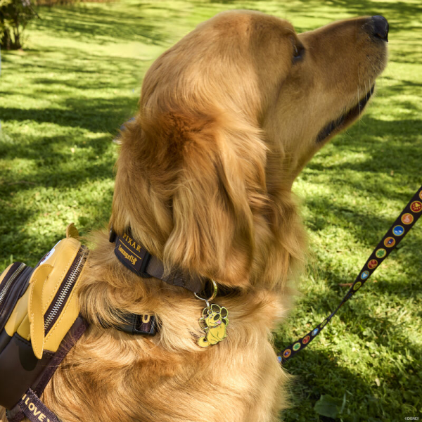 Teach your dog a new trick with the Loungefly Disney-Pixar Up 15th Anniversary Dug Collar! Inspired by the collar that allows Dug to communicate with humans, this accessory shows buttons, dials, and speakers along its printed nylon strap. The signature Loungefly plaque accompanies a crown on the collar’s buckle, and enamel charms shaped like a pawprint and Dug appear on the leash hook. Whether you’re roaming the neighborhood or touring Paradise Falls, this accessory adds stylish flair to your pet’s next big adventure. The Loungefly Disney-Pixar Up 15th Anniversary Dug Collar is made with durable nylon material and features printed details. Collar adjusts for safety/fit and includes shiny silver hardware. This collar is an officially licensed Disney-Pixar product. Collar dimensions: (Small) 0.5”W, Neck: 9”-13”; (Medium) 0.75”W, Neck: 13”-20”; (Large) 1”W, Neck: 18”-29”