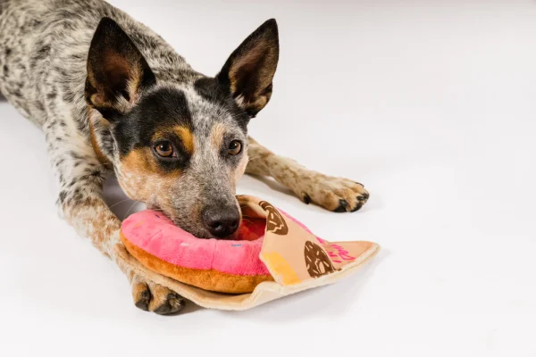 Satisfy your pup's sweet tooth with P.L.A.Y.'s Pup Cup Café Doughboy Donut toy! This pink confection features two squeakers in the doughnut's body for double the fun and a detachable crinkle sleeve for an extra layer of texture to playtime. Treat your dog to the sweetness of the perfect pastry! Hand-made craftsmanship, double layer exterior and reinforced stitching for extra durability Eco-friendly PlanetFill® filler is made from 100% post-consumer certified-safe recycled plastic bottles Machine washable and dryer friendly Features AZO-free dyes