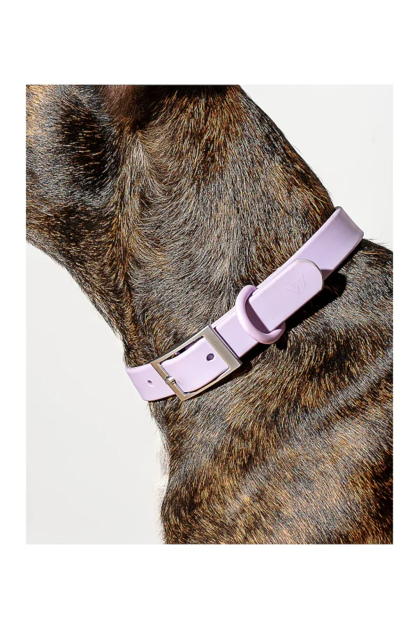 Dirt, odor and water resistant. D-ring is coated with carbon steel to minimize the noise of jangling tags. Buttery texture and soft edges reduce rubbing, chafing and irritation. Wipes clean easily with mild soap and water. Adjustable sizing to grow with your pal. Keep your pup looking stylish and feeling comfortable with the Wild One Adjustable Waterproof Flex-Poly Coated Nylon Dog Collar. This durable collar is made from super strong, smooth, all-weather materials that are resistant to dirt, odors and water. Plus, the D-ring is coated with carbon steel to minimize the noise of jangling tags. The buttery texture and soft edges reduce rubbing, chafing and irritation, even during extended wear time and heightened activity. When it’s time to clean, just wipe it with mild soap and water. Plus, the adjustable sizing allows it to grow with your pup.