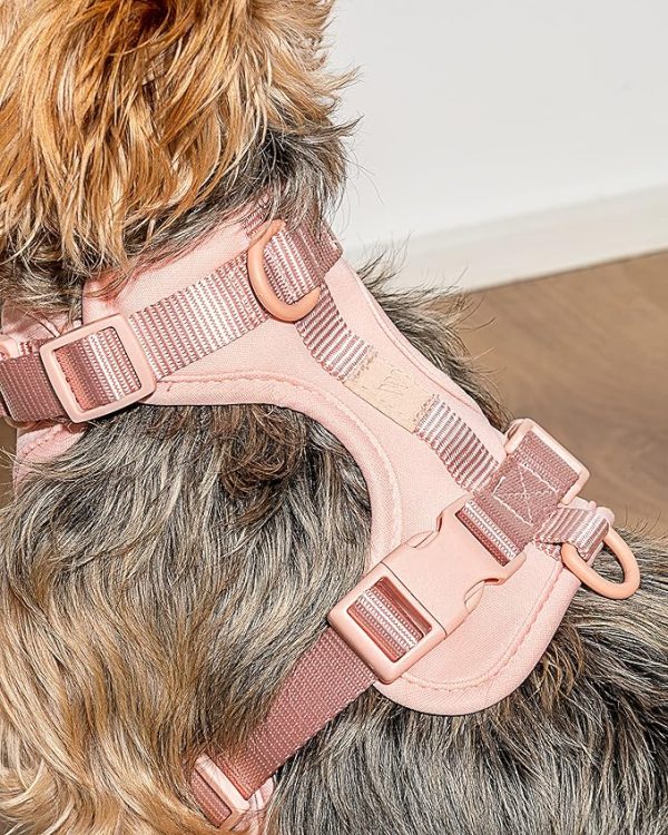 The Wild One Harness is soft, stretchy, and resilient A cushioned, lightweight harness that’s simple to secure and easy to link up with An adjustable neck and chest for all shapes and sizes Three leash attachment points because we all lead in different ways