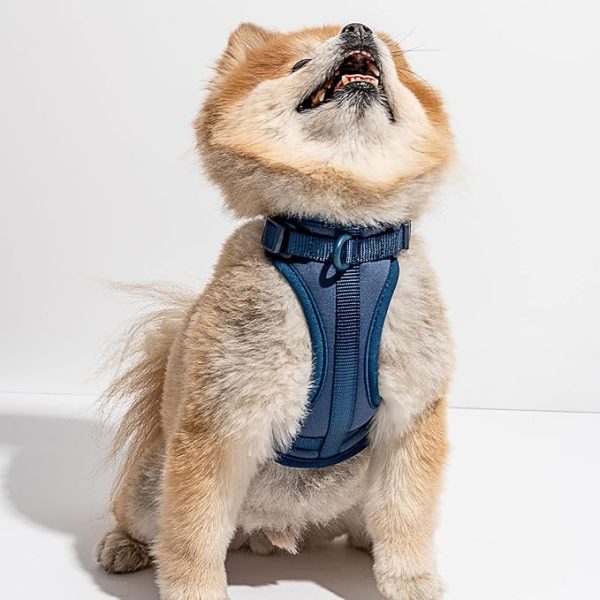 The Wild One Harness is soft, stretchy, and resilient A cushioned, lightweight harness that’s simple to secure and easy to link up with An adjustable neck and chest for all shapes and sizes Three leash attachment points because we all lead in different ways