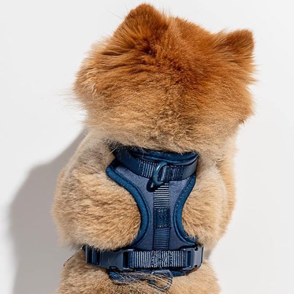 The Wild One Harness is soft, stretchy, and resilient A cushioned, lightweight harness that’s simple to secure and easy to link up with An adjustable neck and chest for all shapes and sizes Three leash attachment points because we all lead in different ways