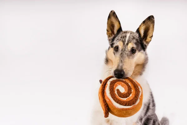 P.L.A.Y.'s Pup Cup Café Cinna-bone toy is a cinnamon roll delight that features a squeaker in the body for an extra dash of excitement with a crinkly bottom. In addition, the crinkles in the unraveling layer make playtime even more engaging, providing everlasting fun. Treat your pup to the irresistible charm, where every play session is a delectable adventure! Hand-made craftsmanship, double layer exterior and reinforced stitching for extra durability Eco-friendly PlanetFill® filler is made from 100% post-consumer certified-safe recycled plastic bottles Machine washable and dryer friendly Features AZO-free dyes