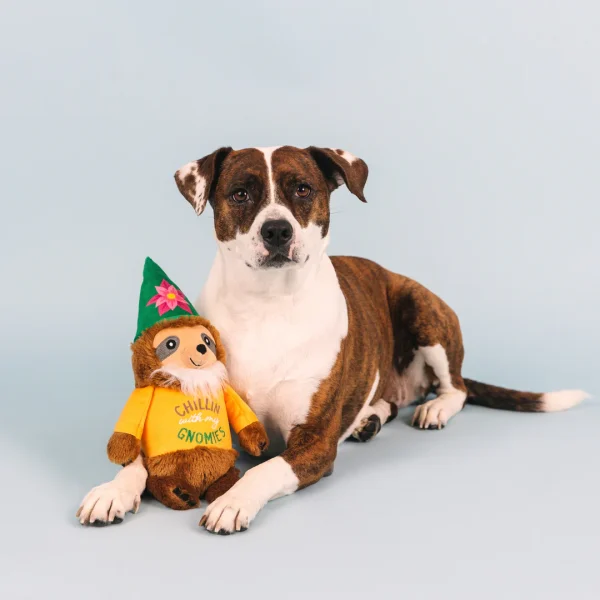 Get out of the garden! Our “Chillin' With My Gnomies” plush toy is perfect for playtime, anytime. Made with a super loud squeaker and crazy crinkle paper, your pup will feel right at gnome with this toy. Great for all dog sizes and not intended for aggressive chewers. • Super loud squeaker • Crinkle paper • Great for fetch & play • Perfect for all-sized dogs • 13" h x 7" w x 4.5" d